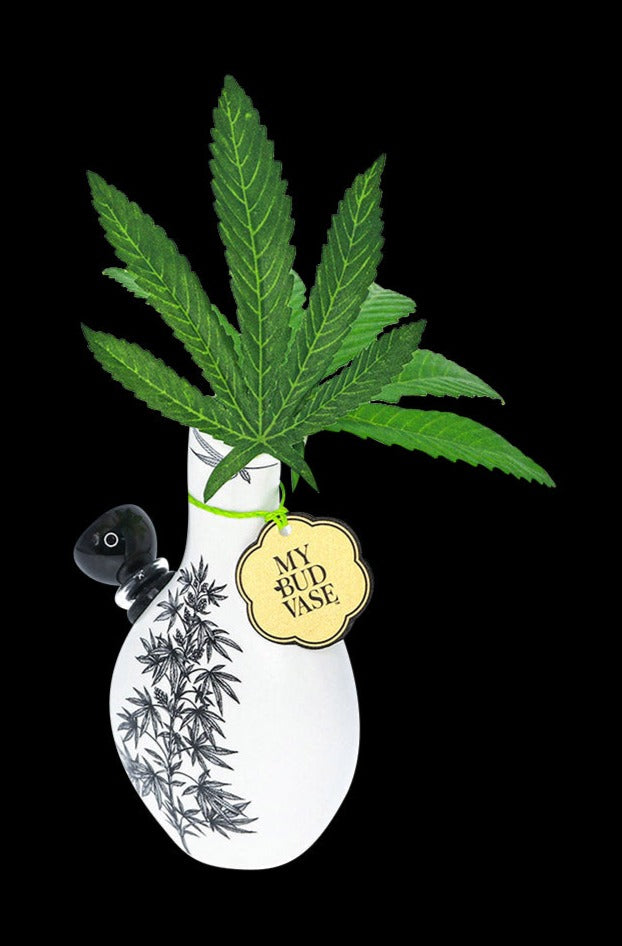 My Bud Vase Love Bud Water Pipe - A Stunning Smoking Companion