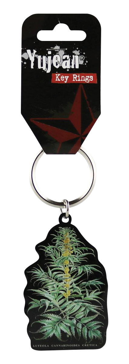 Enchanting Cabinet of Curiosities Cannabis Plant Keyring