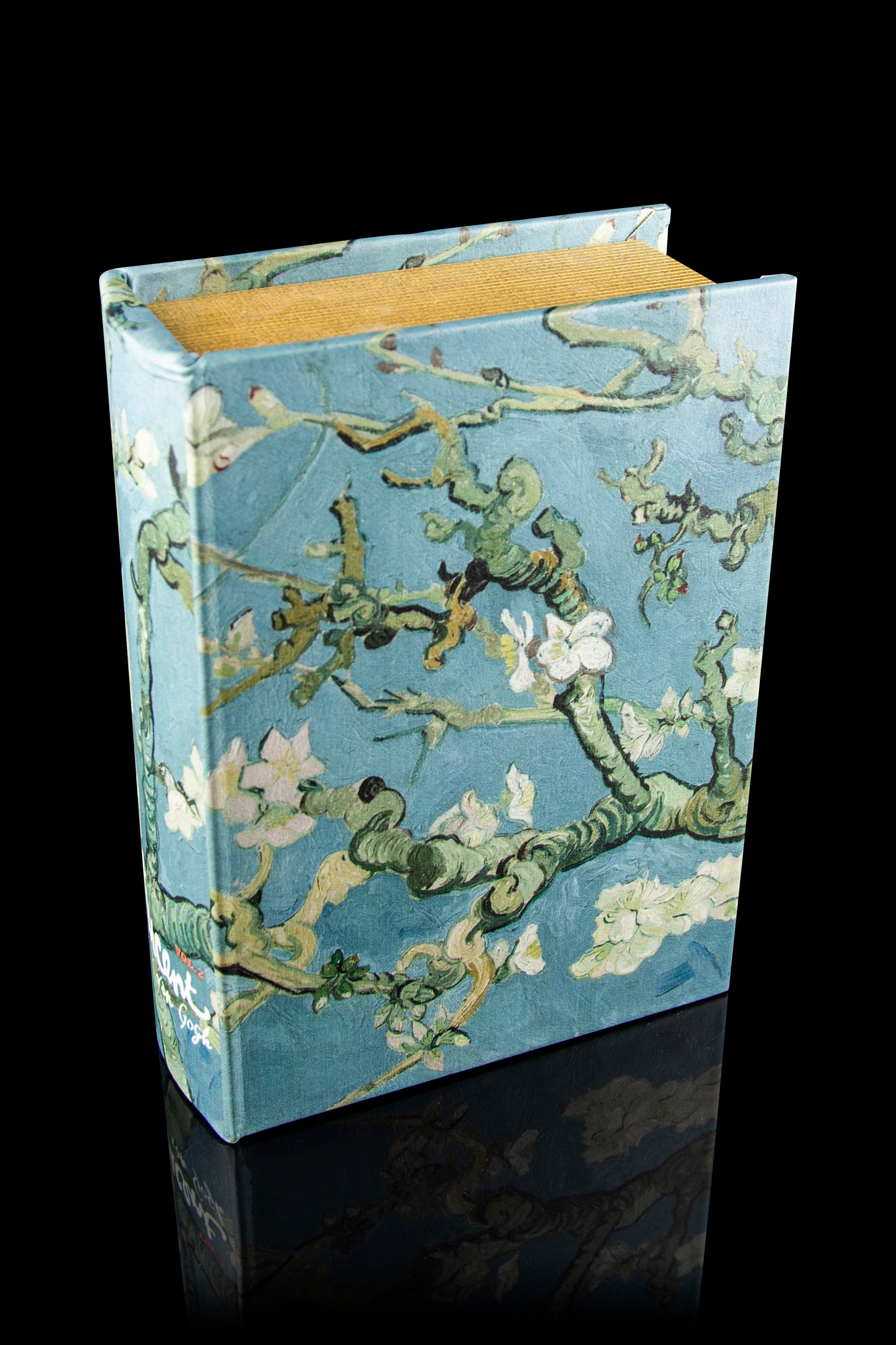 Hakuna Supply's Stylish Locking Book Box