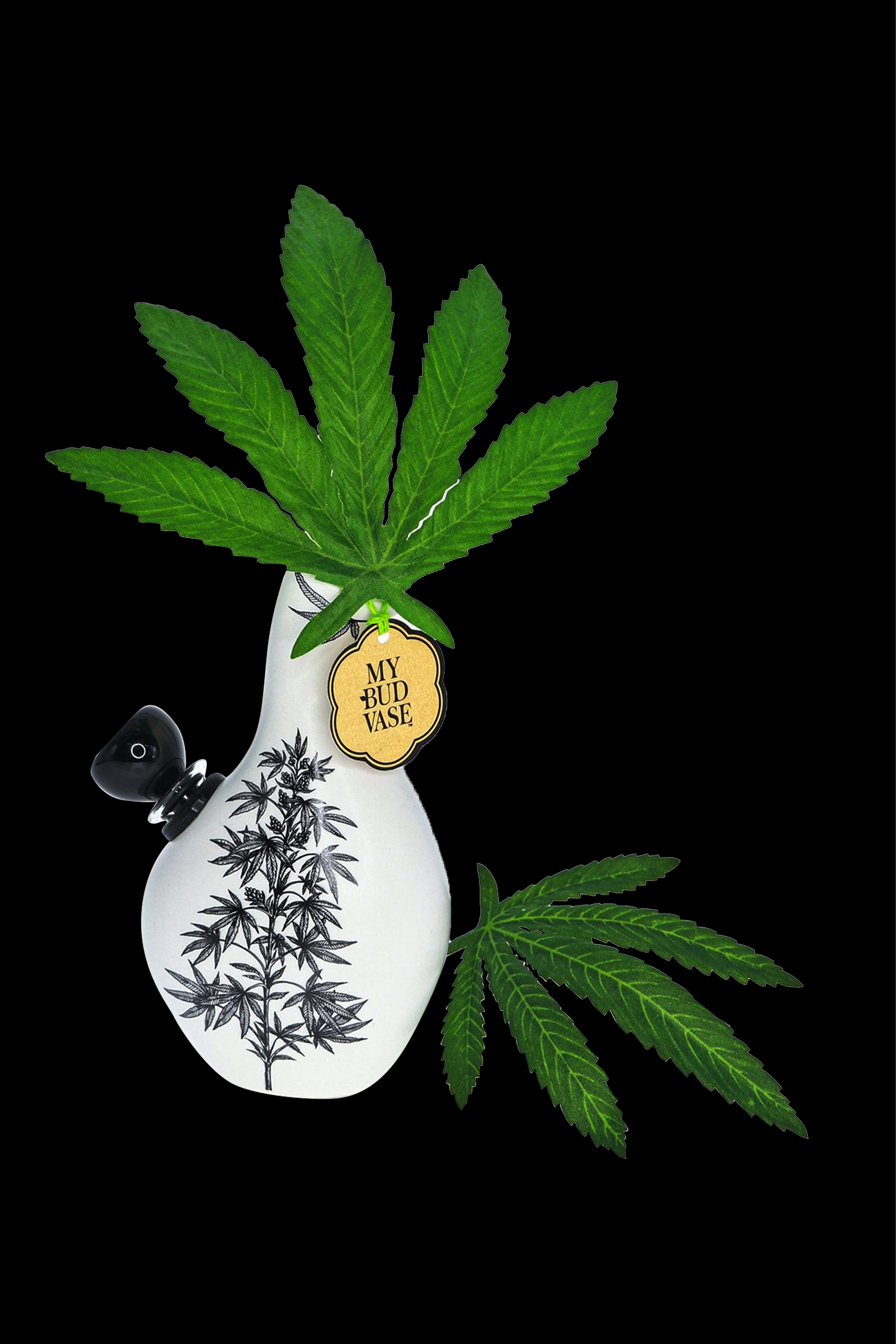 My Bud Vase Love Bud Water Pipe - A Must - Have for Cannabis Enthusiasts