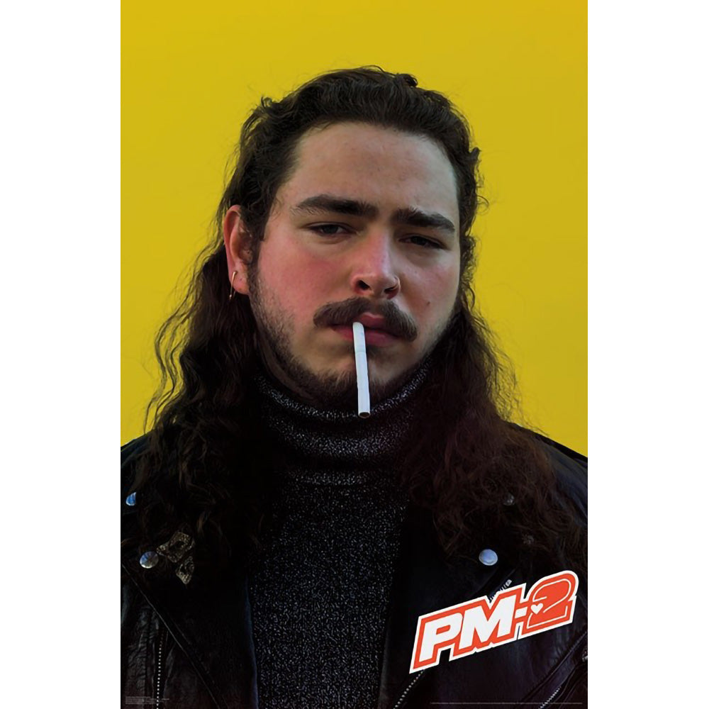 Stunning Post Malone Poster - Personalize Your Space!