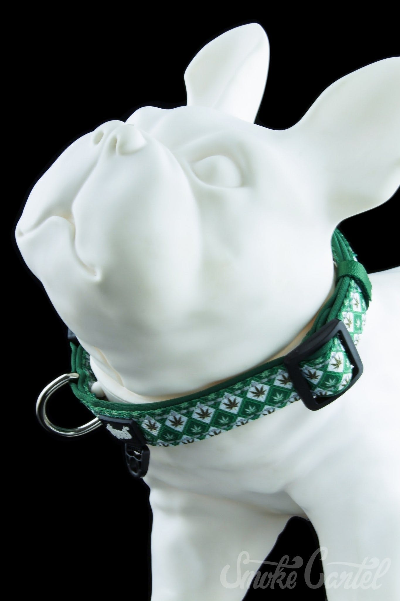 HeadyPet Collar V2 - The Ultimate Pet Companion