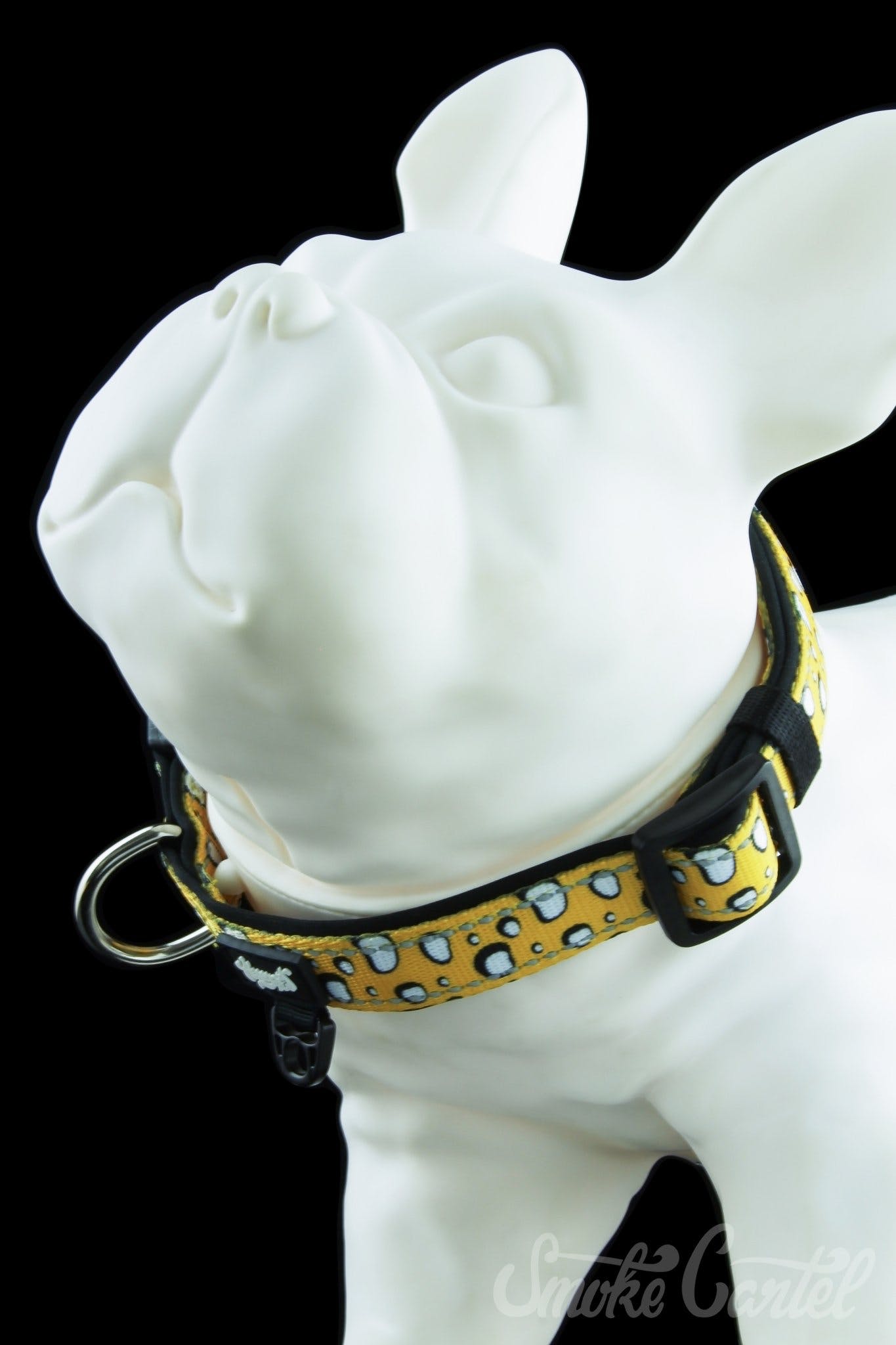 HeadyPet Collar V2 - The Ultimate Pet Companion