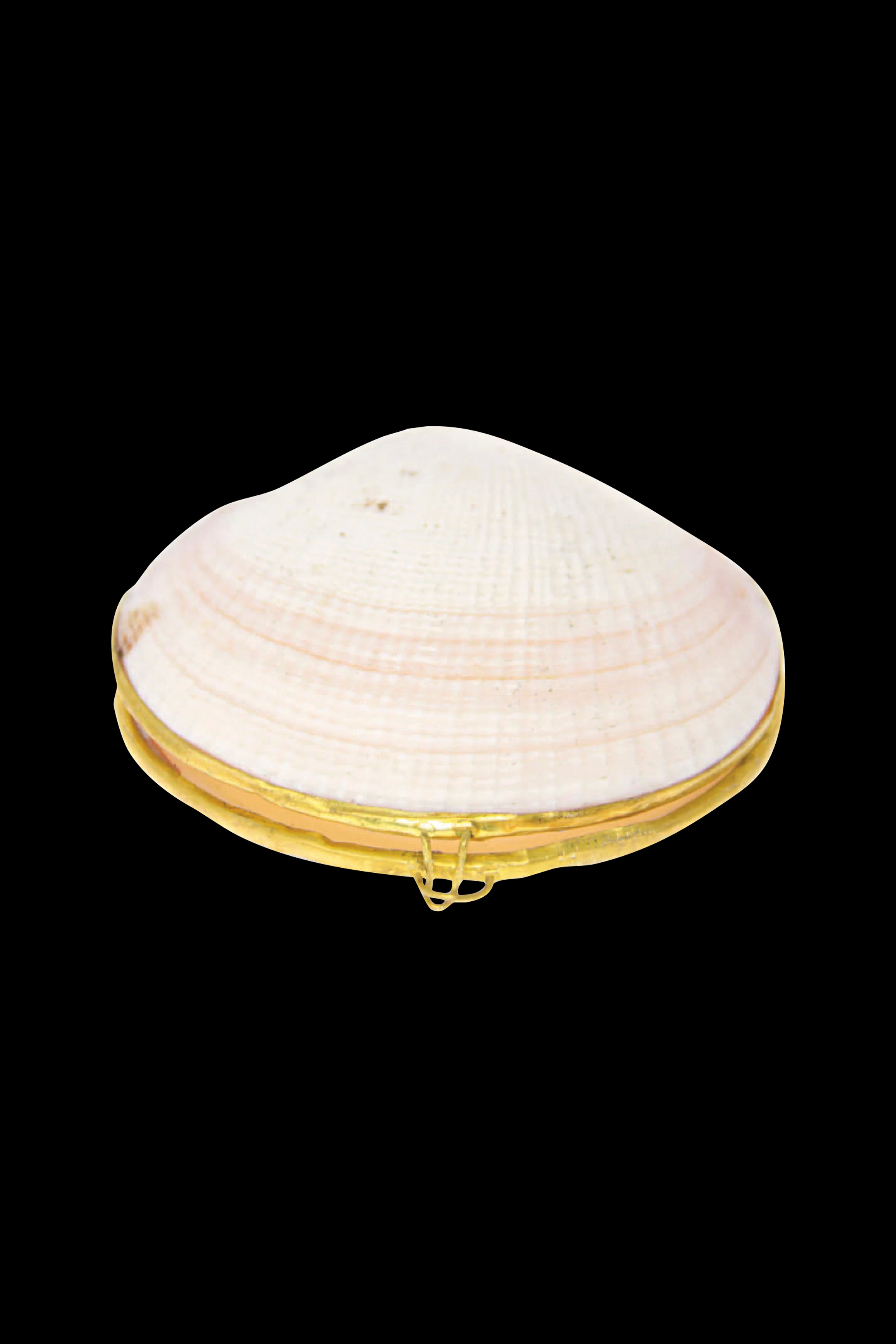 My Bud Vase Stylish Stash Shell