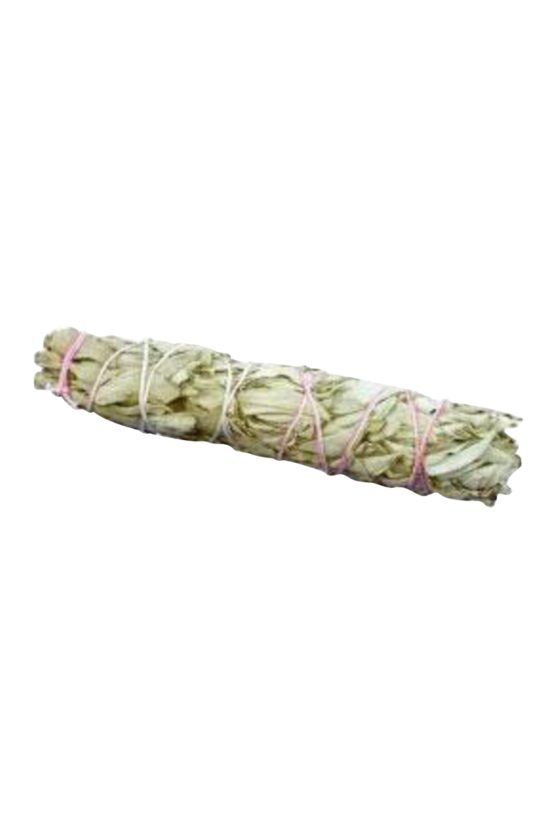 Extra-Large Freshly Picked White Sage Bundle
