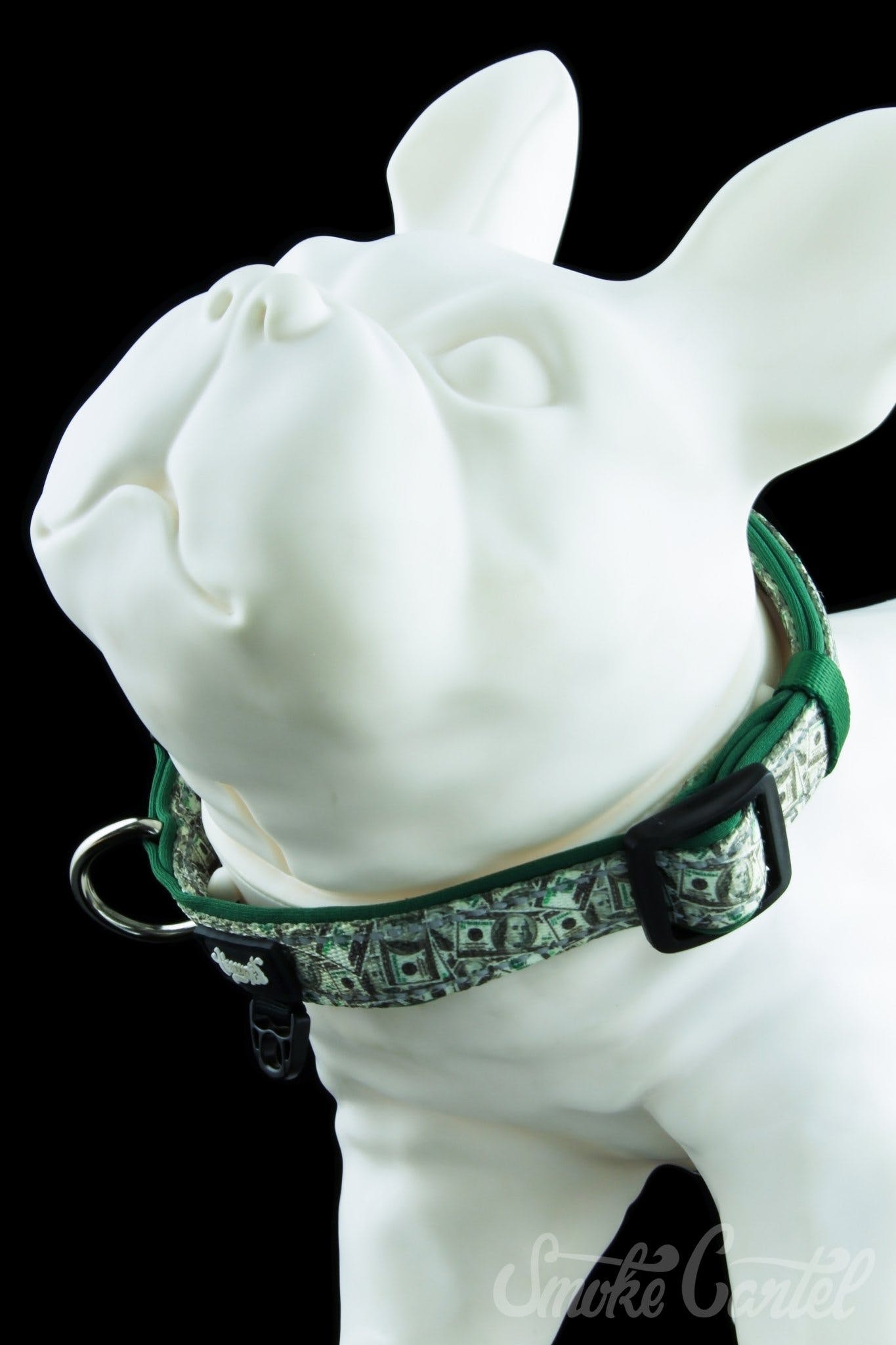 HeadyPet Collar V2 - The Ultimate Pet Companion