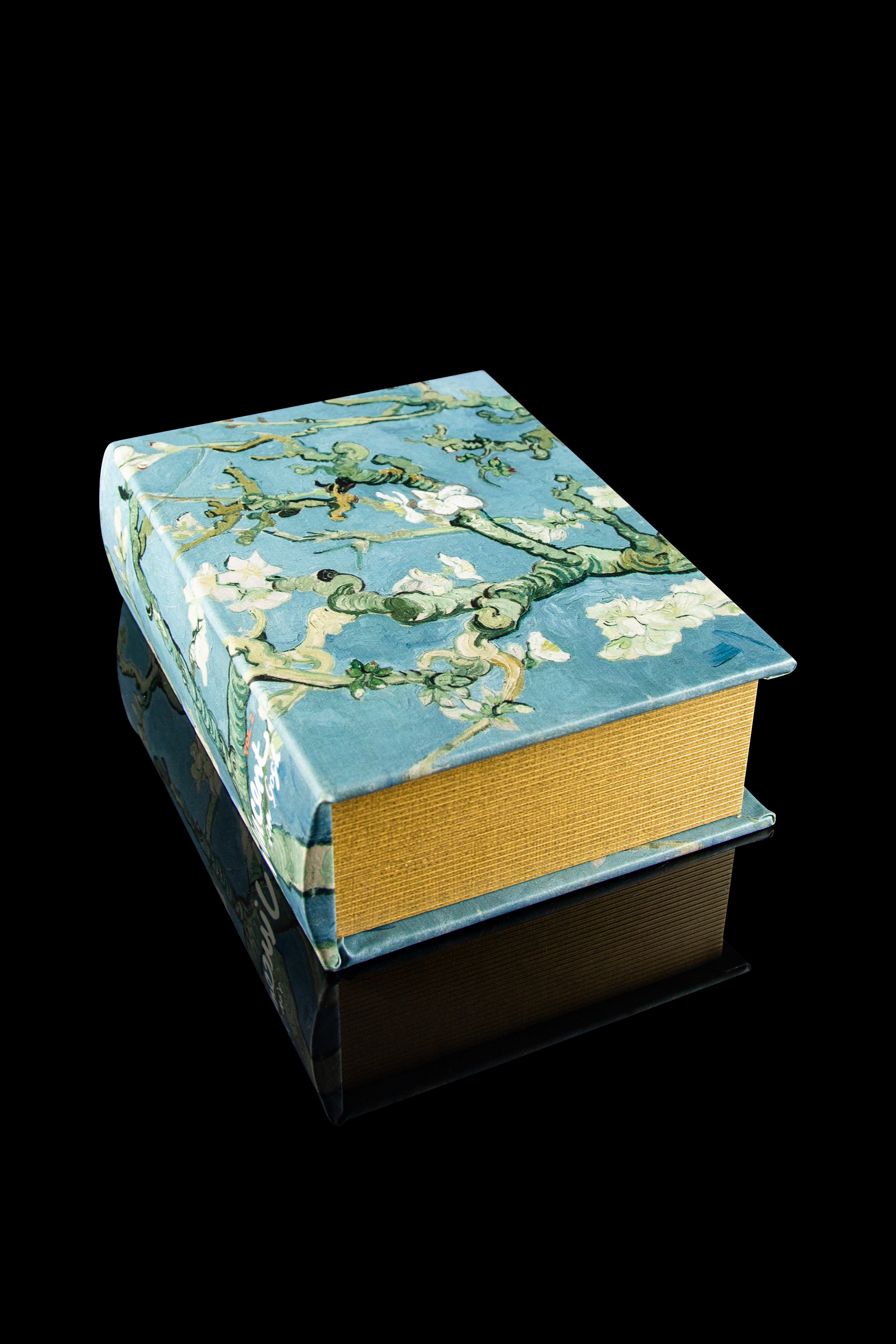 Hakuna Supply's Stylish Locking Book Box