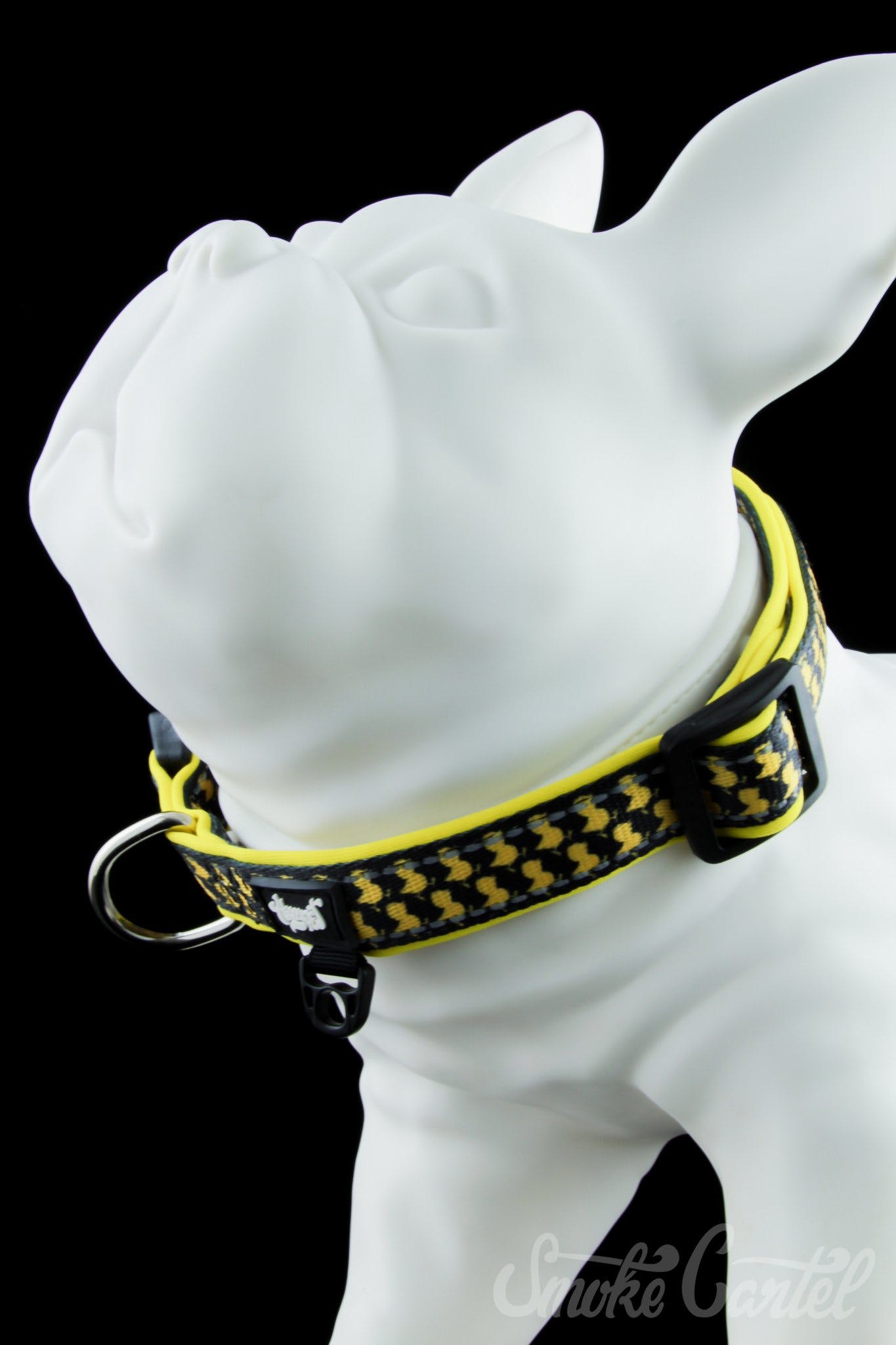 HeadyPet Collar V2 - The Ultimate Pet Companion