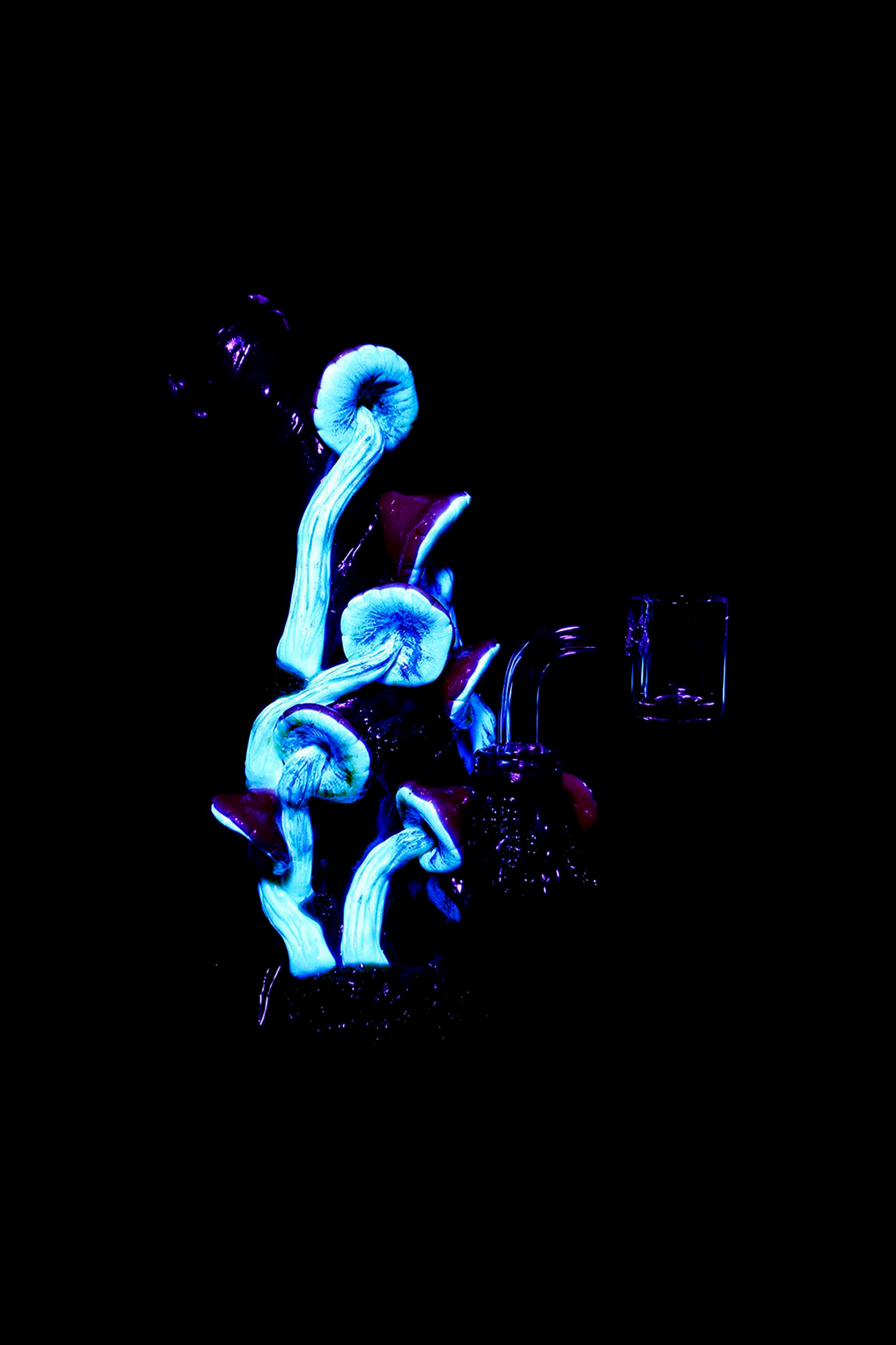 Enchanting Mossy Forest Mushroom Dab Rig