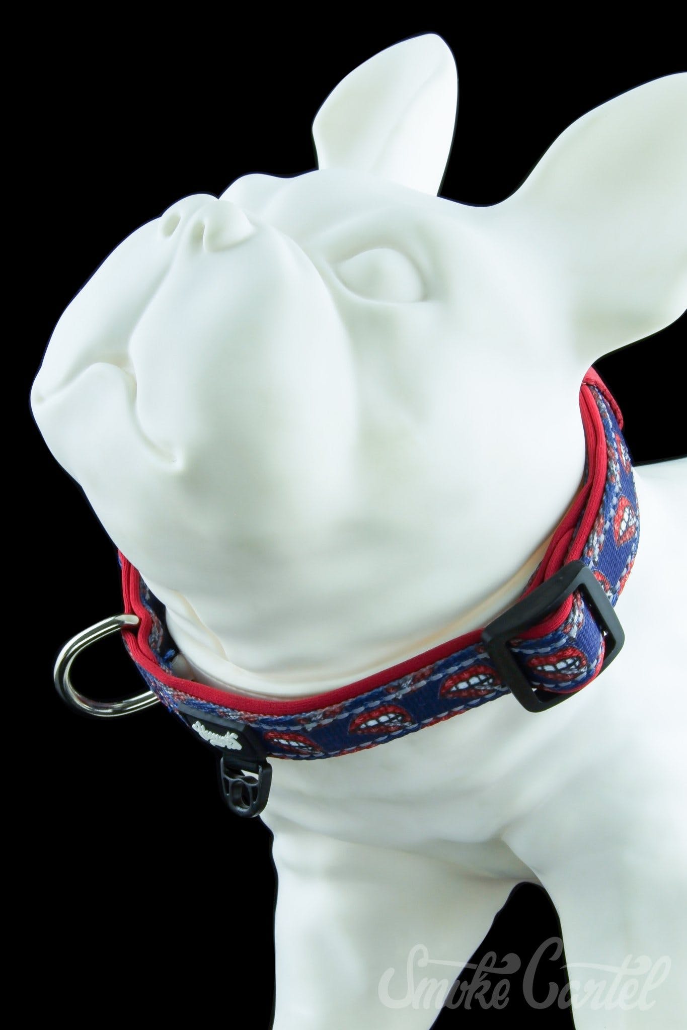 HeadyPet Collar V2 - The Ultimate Pet Companion