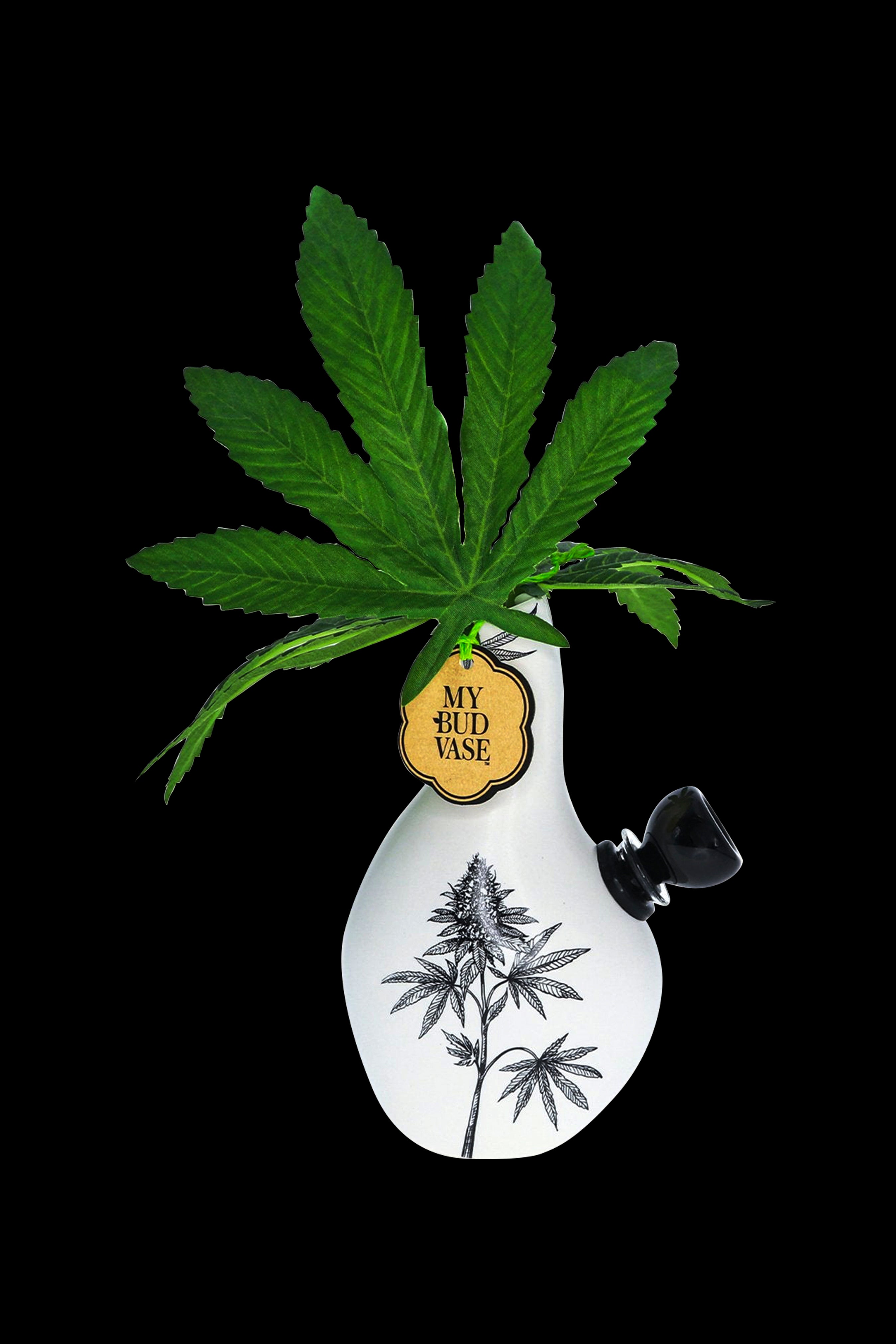 My Bud Vase Love Bud Water Pipe - A Must - Have for Cannabis Enthusiasts