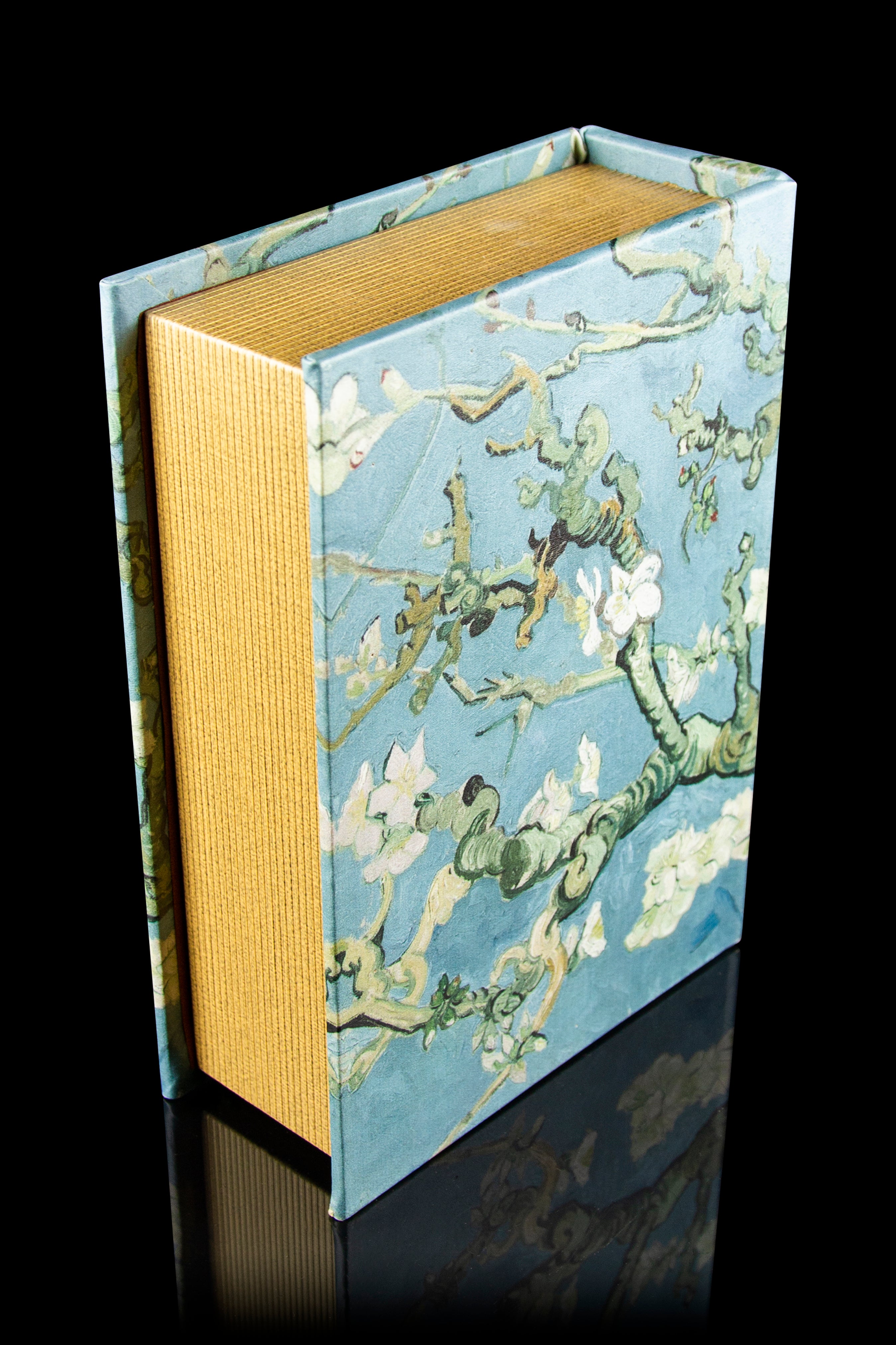 Hakuna Supply's Stylish Locking Book Box
