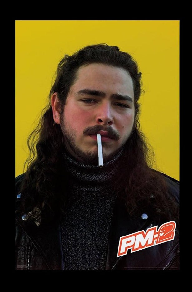 Stunning Post Malone Poster - Personalize Your Space!