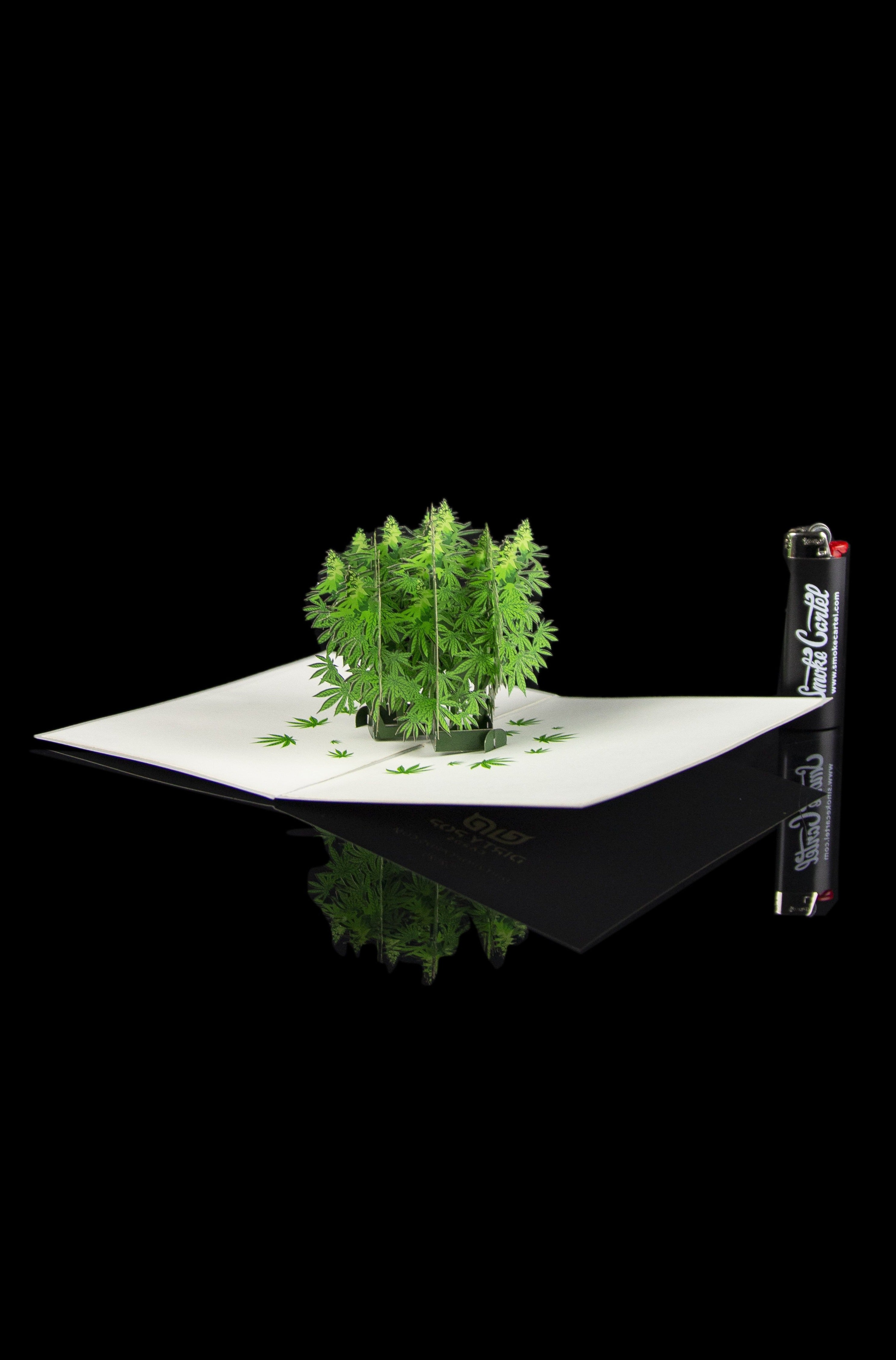 Dirty Pop's Pot Plant Pop - Up Greeting Card: A Stoner's Delight