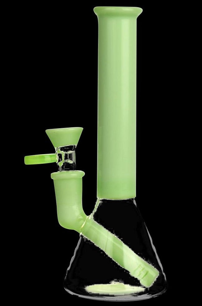 Fantastic Mini Beaker Water Pipe