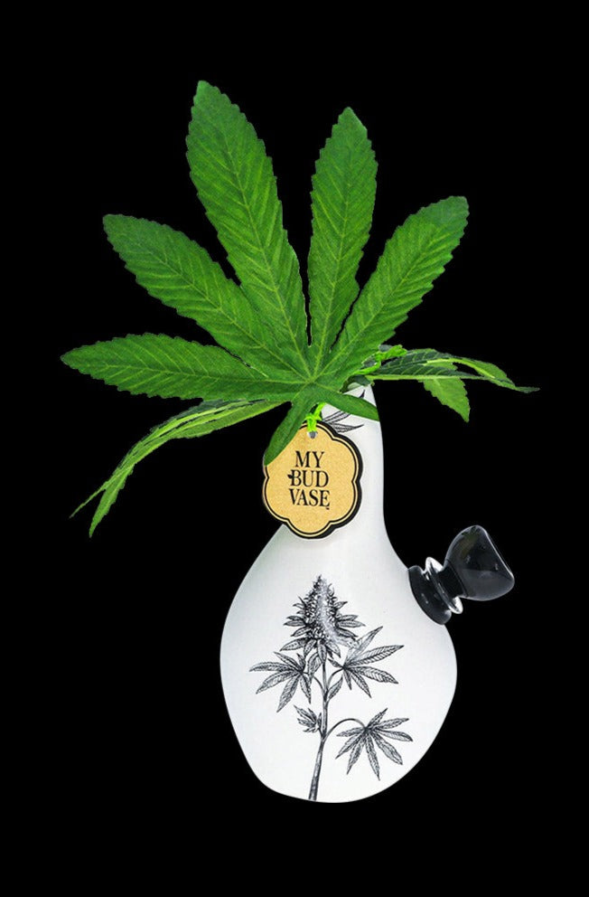 My Bud Vase Love Bud Water Pipe - A Stunning Smoking Companion