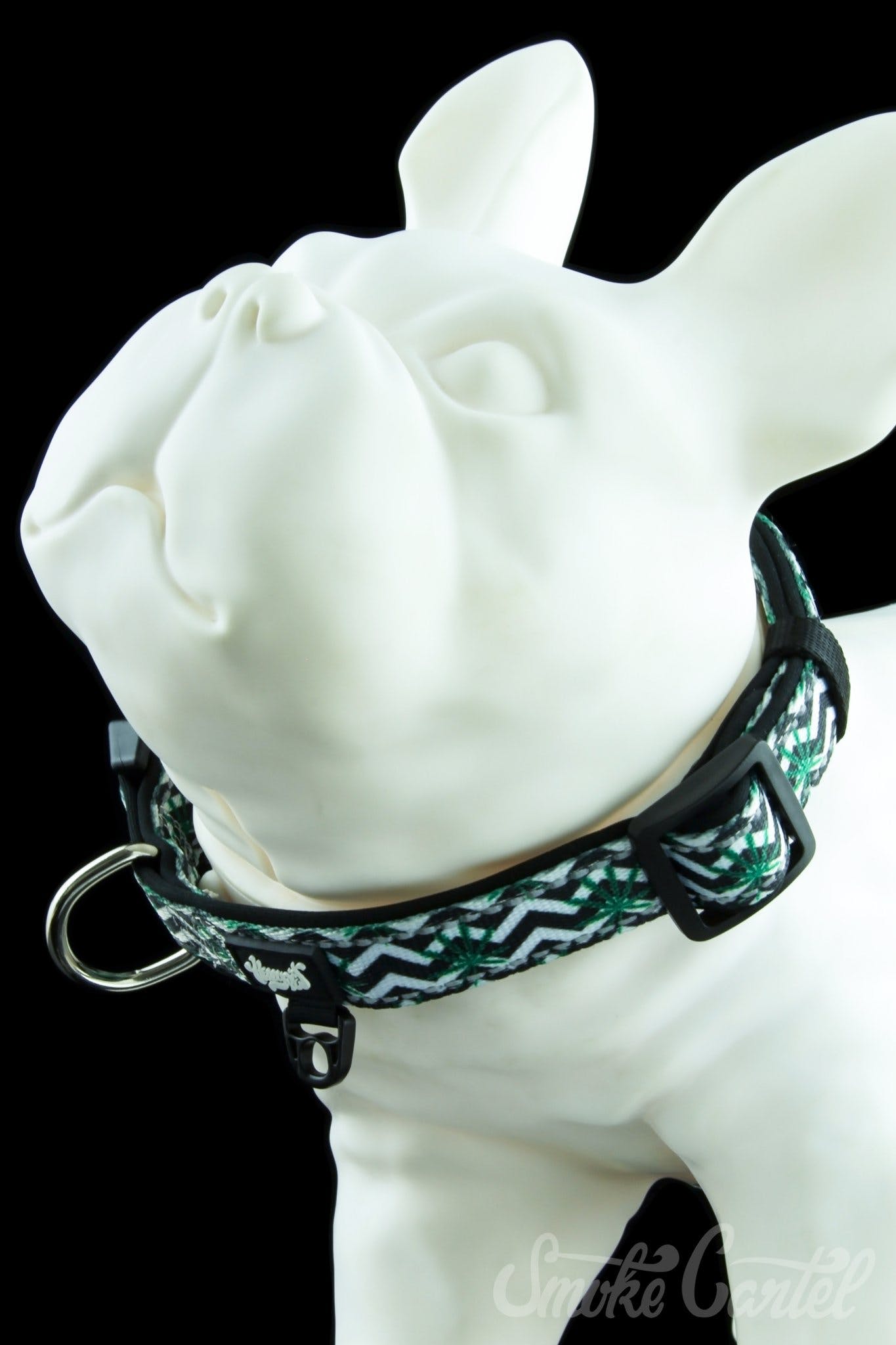HeadyPet Collar V2 - The Ultimate Pet Companion